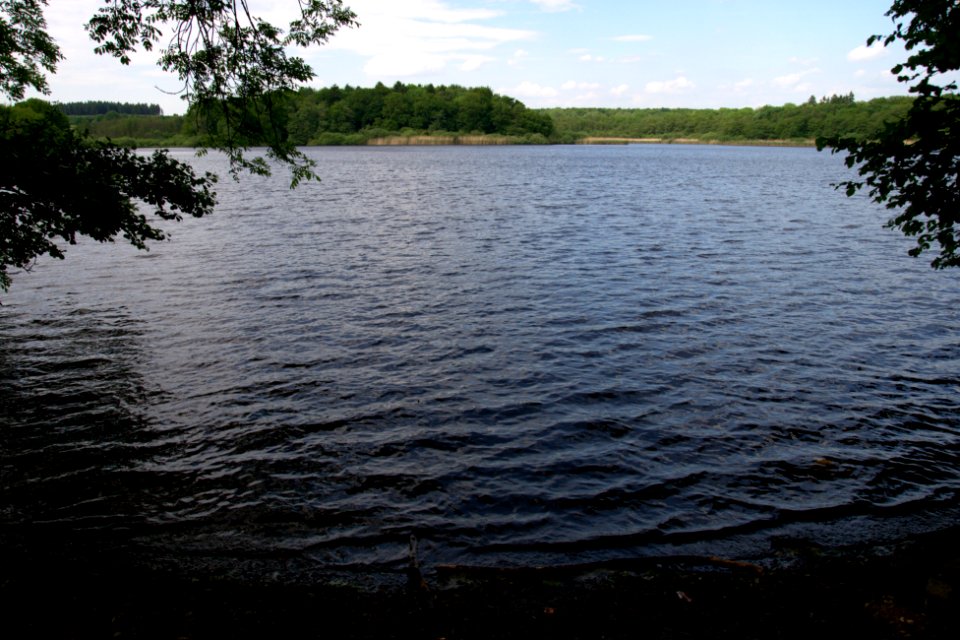 Brinkenweiher Lake Westerwald Germany S