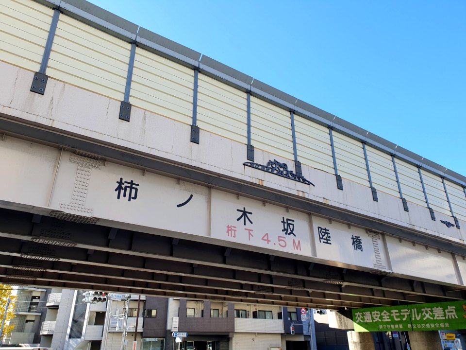 Bridge in Meguro 2