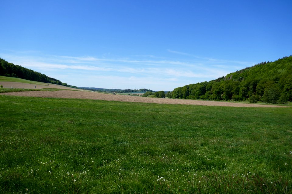 Brilon - Landschaftsschutzgebiet Freiflächen im Lühlingsbachtal - 2