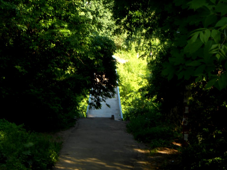 Bridge over Devil's Moat - 05