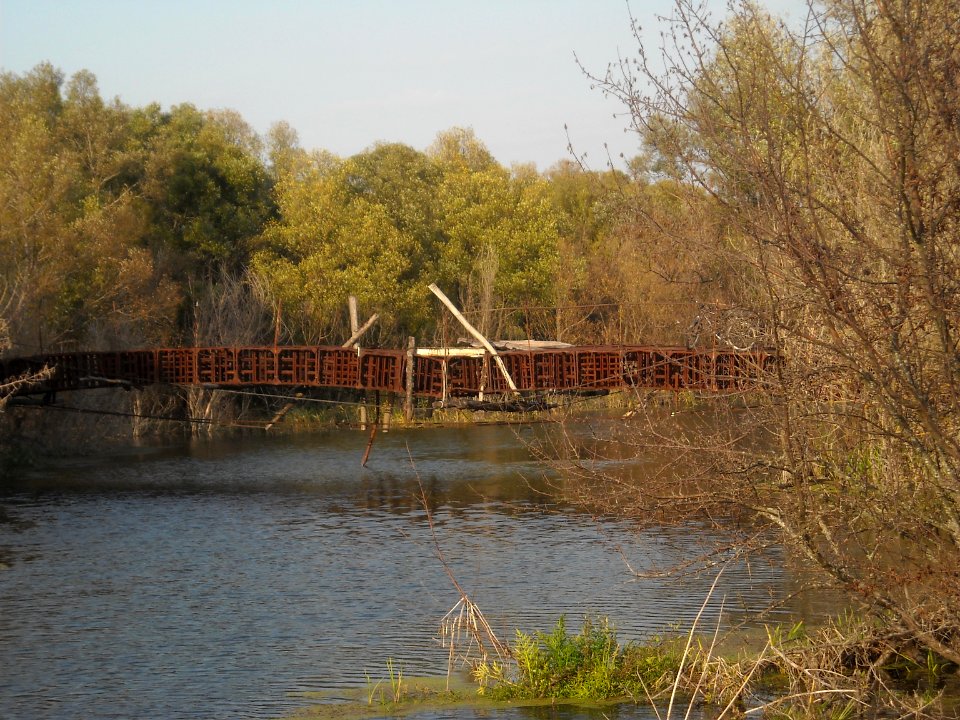 Bridge in Meshkovo downstream