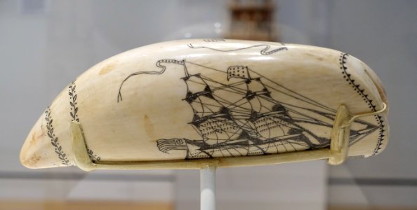 Brig Tamaahmah, by Edward Burdett, c. 1825, sperm whale tooth, blacking - Peabody Essex Museum - DSC07229