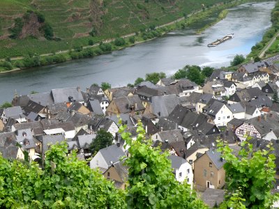 Bremm Übersicht 5