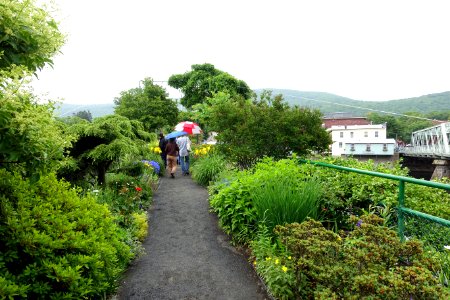 Bridge of Flowers - Shelburne Falls, Massachusetts - DSC00134 photo