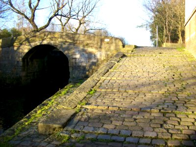 Bridge at Wrigley Head