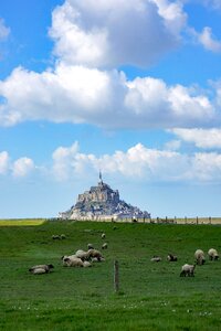 Stones normandy salt meadows photo