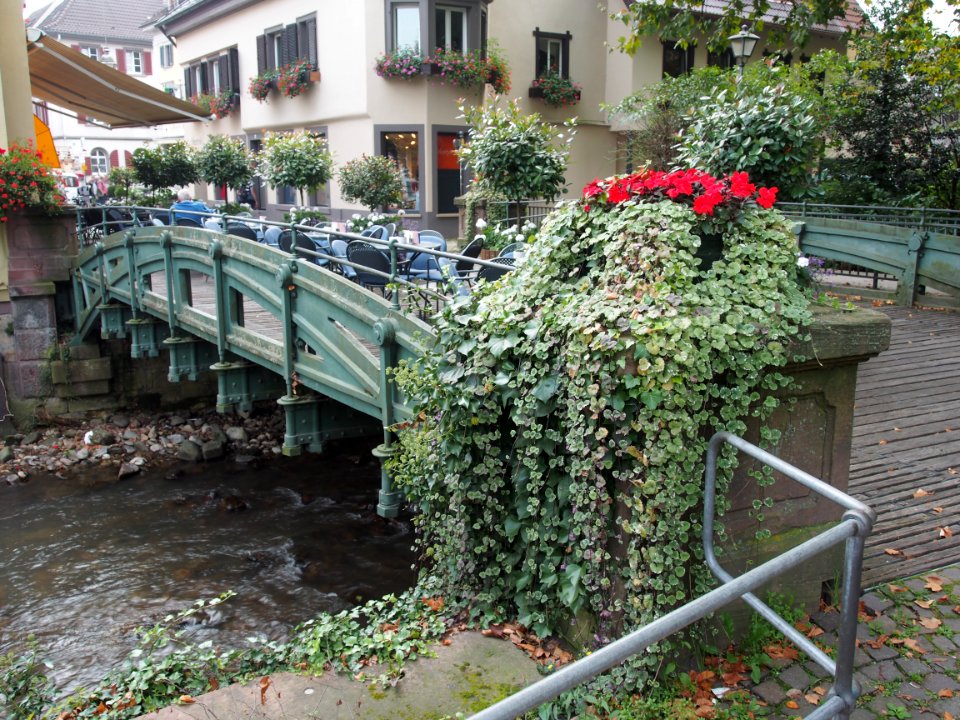 Bridge in Staufen im Breisgau, pic2