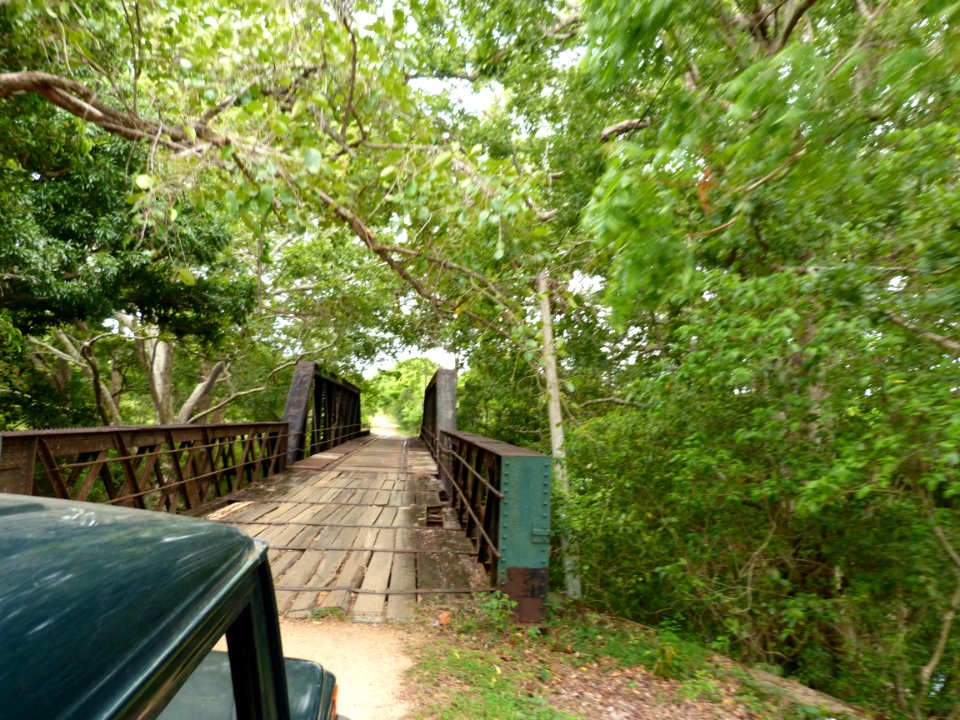 Bridge at Lunugamvehera National Park