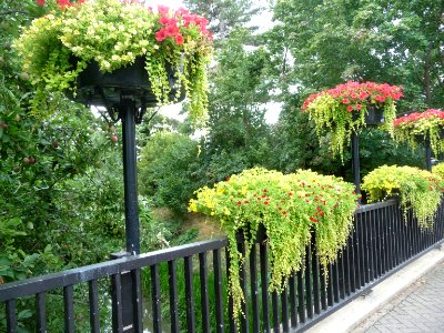 Bridge in Leighton Buzzard