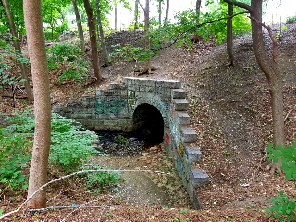 Bridge over Mill Brook - Lexington and West Cambridge Railroad - Arlington, MA - 20200816 084726