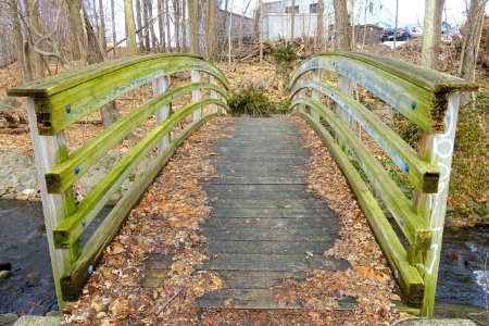 Bridge over Mill Brook - Wellington Park - Arlington, MA - DSC05675