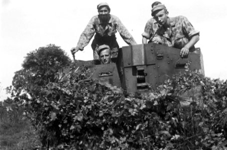 Bren-carrier met bemanning en camouflage, Bestanddeelnr 6499