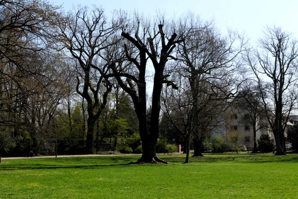 Brentanopark 2020-03-27 01
