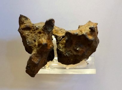 Brenham meteorite, Kansas, fell in 1892, pallasite, silicate minerals within an iron-nickel alloy - Redpath Museum - McGill University - Montreal, Canada - DSC07884