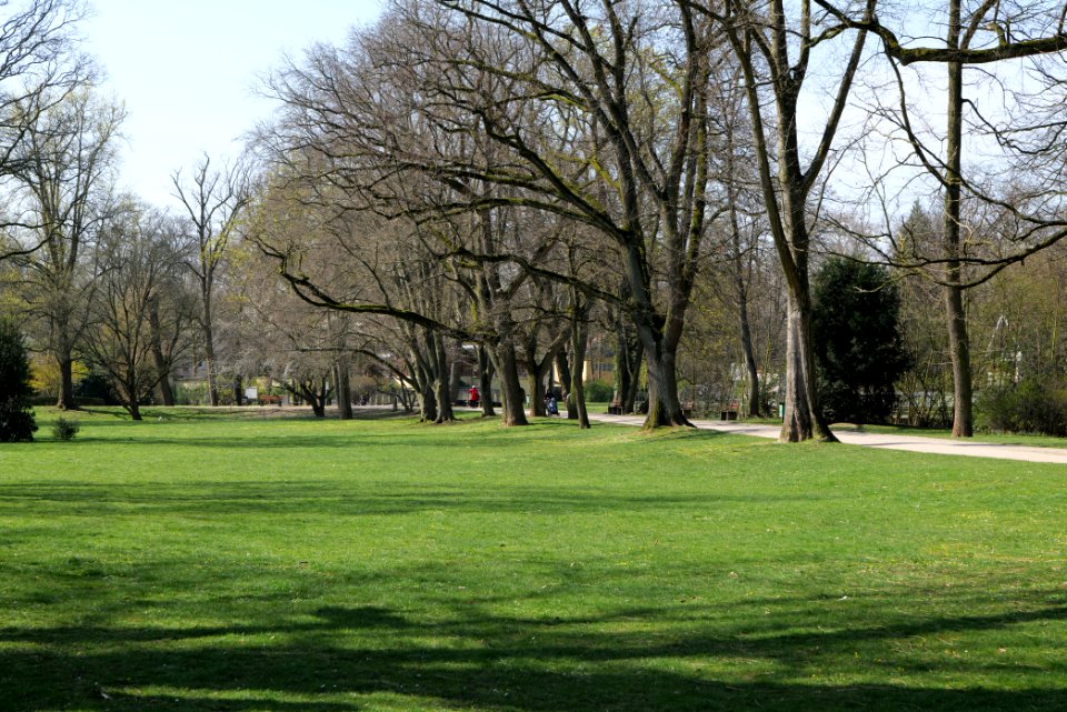 Brentanopark 2020-03-27 05