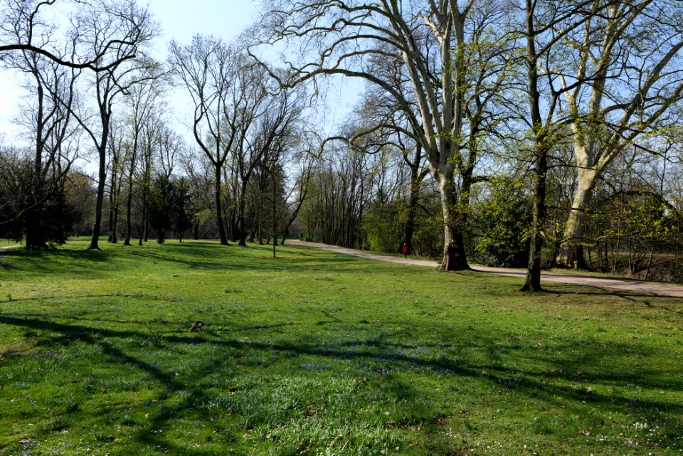 Brentanopark 2020-03-27 15