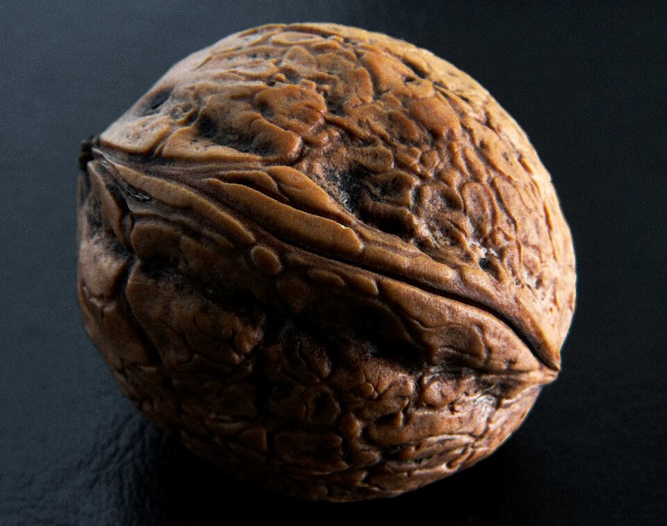 Walnut waxes hard shell