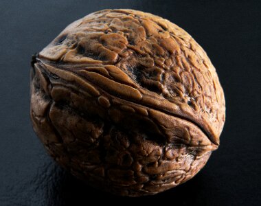 Walnut waxes hard shell
