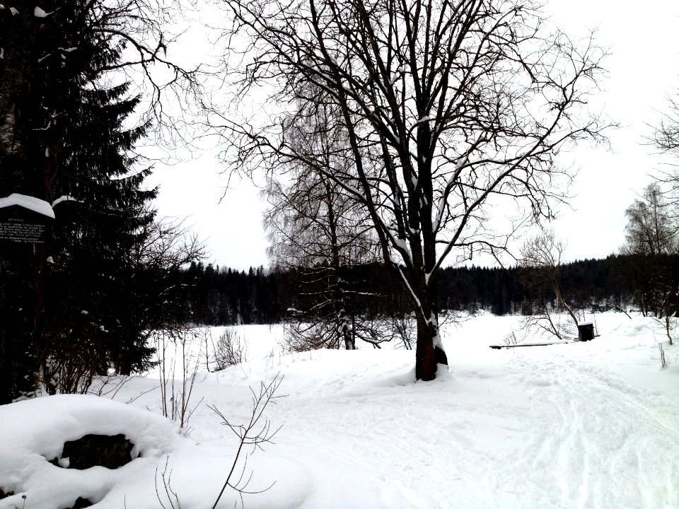 Bremserud January 2014