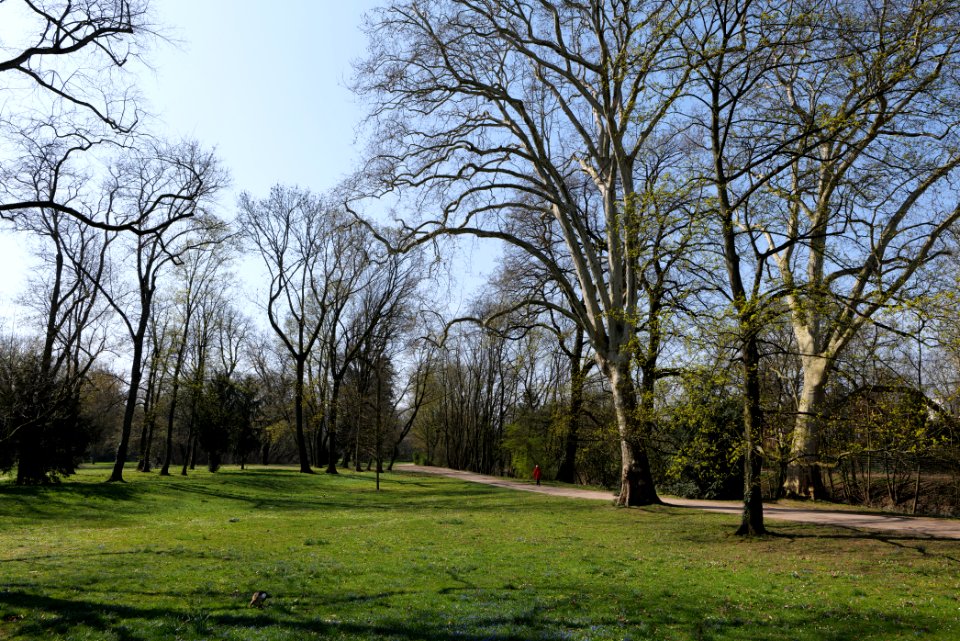 Brentanopark 2020-03-27 16