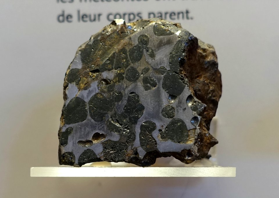 Brenham meteorite, Kansas, fell in 1892, pallasite, silicate minerals within an iron-nickel alloy - Redpath Museum - McGill University - Montreal, Canada - DSC07880