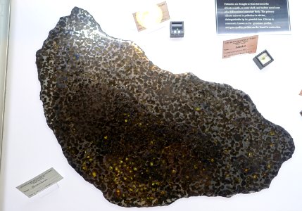 Brenham - Center for Meteorite Studies - Arizona State University - Tempe, AZ - DSC05826