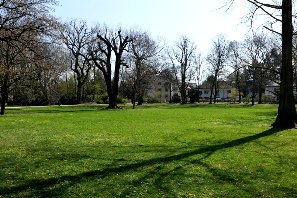 Brentanopark 2020-03-27 03