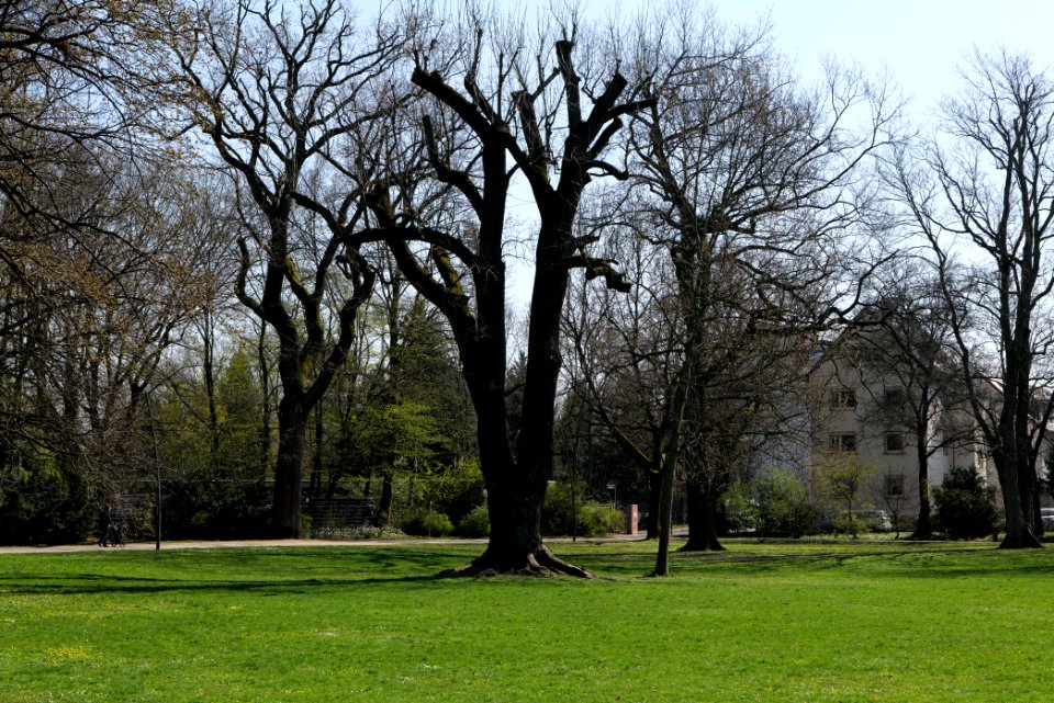 Brentanopark 2020-03-27 02