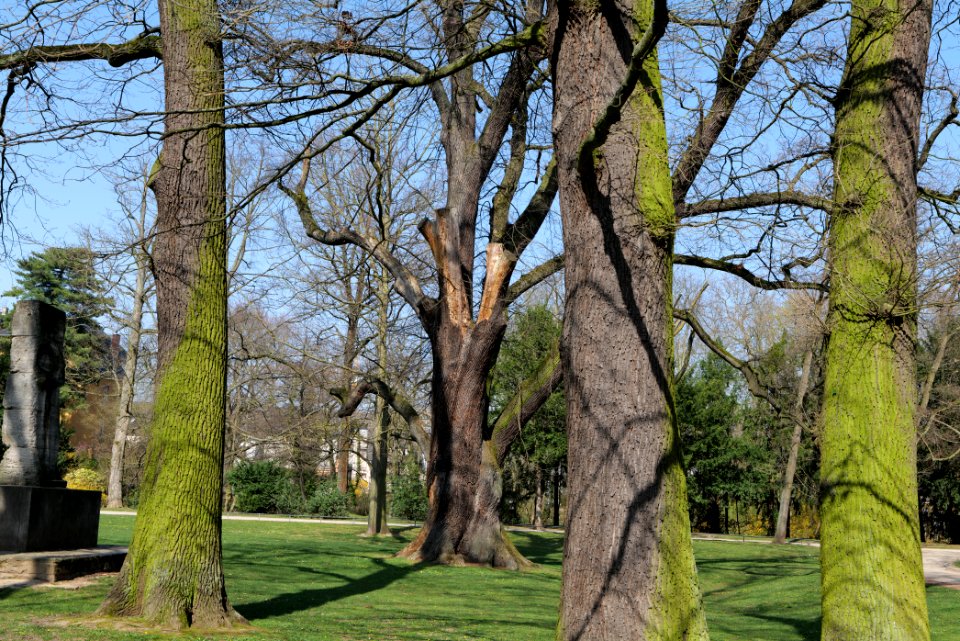Brentanopark 2020-03-27 07