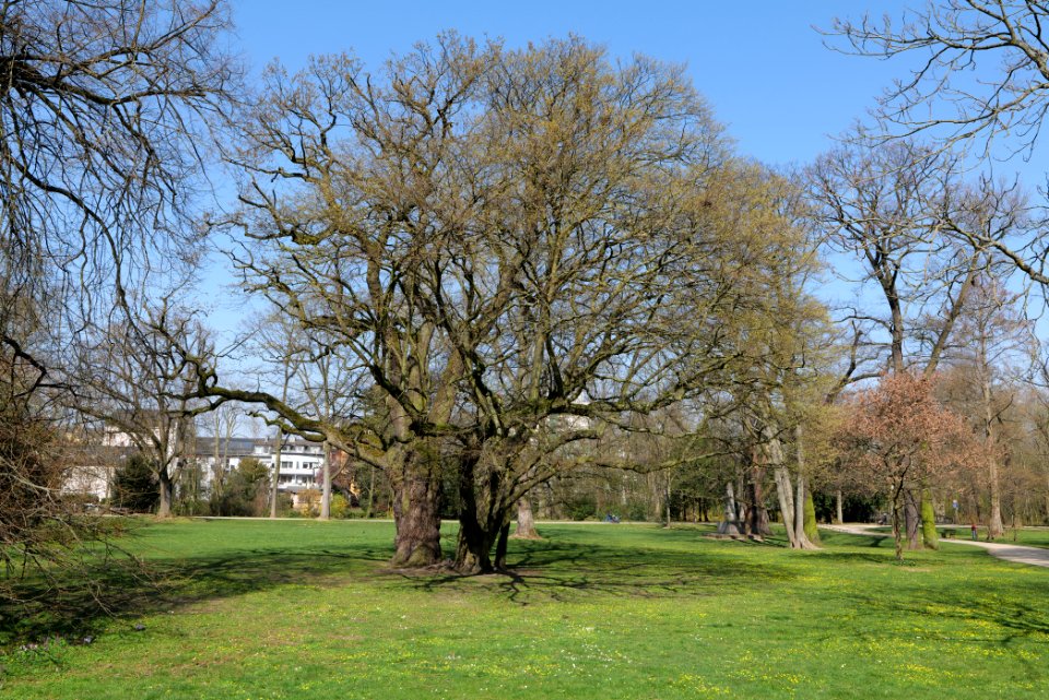 Brentanopark 2020-03-27 11