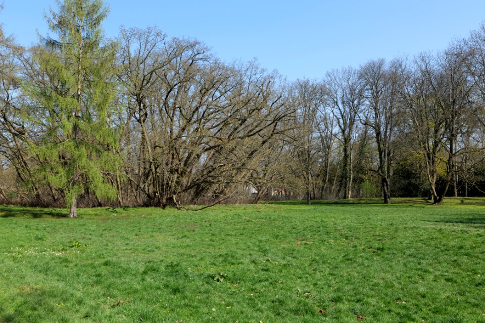 Brentanopark 2020-03-27 17