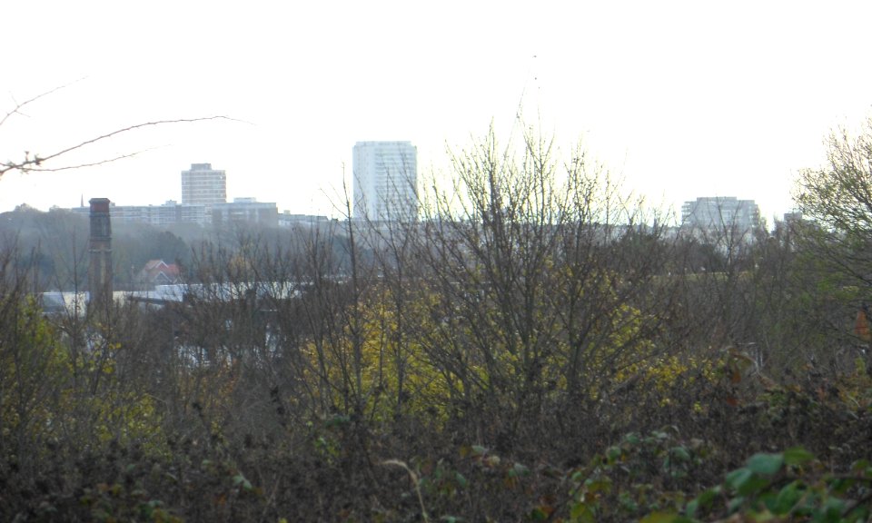 Brighton City Centre seen from Toads Hole Valley, Hove (November 2013) (1)