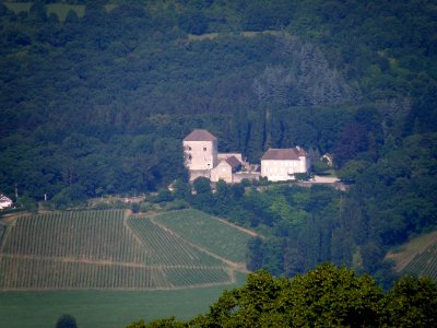 Brison-Saint-Innocent Château