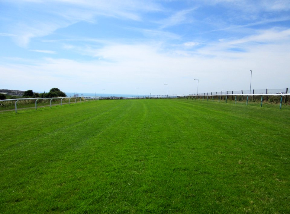 Brighton Racecourse, Whitehawk Hill, Brighton (July 2015) (2)