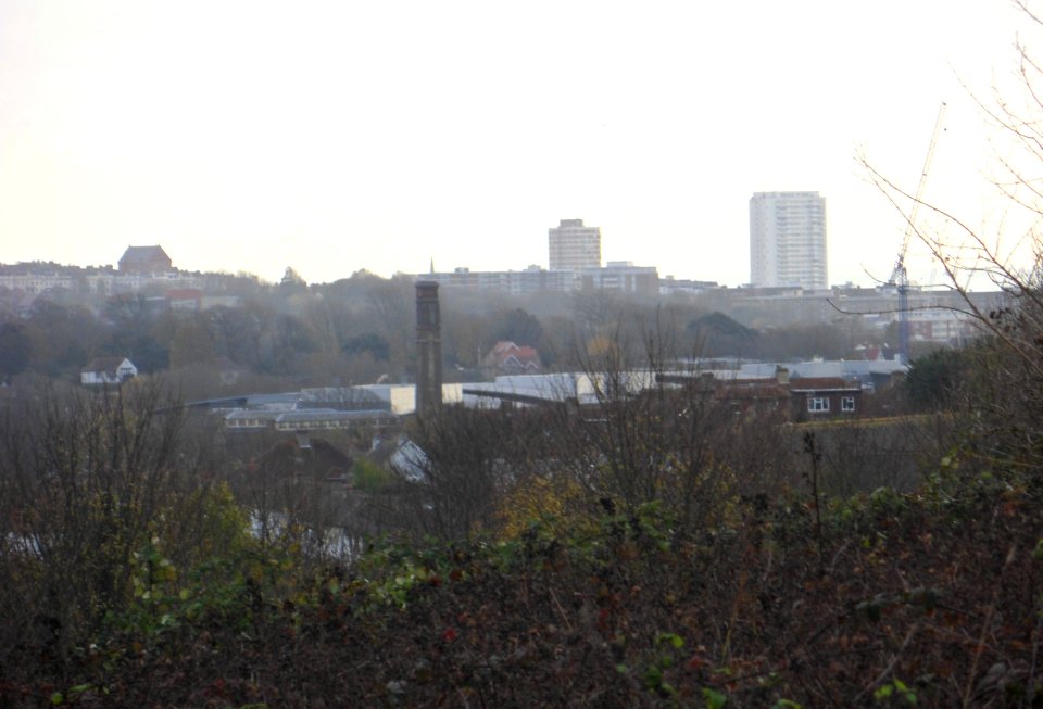 Brighton City Centre seen from Toads Hole Valley, Hove (November 2013) (2)