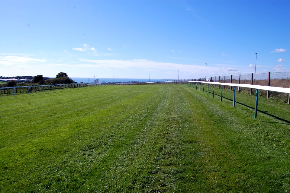 Brighton Racecourse, Whitehawk Hill, Brighton (September 2018) (2)