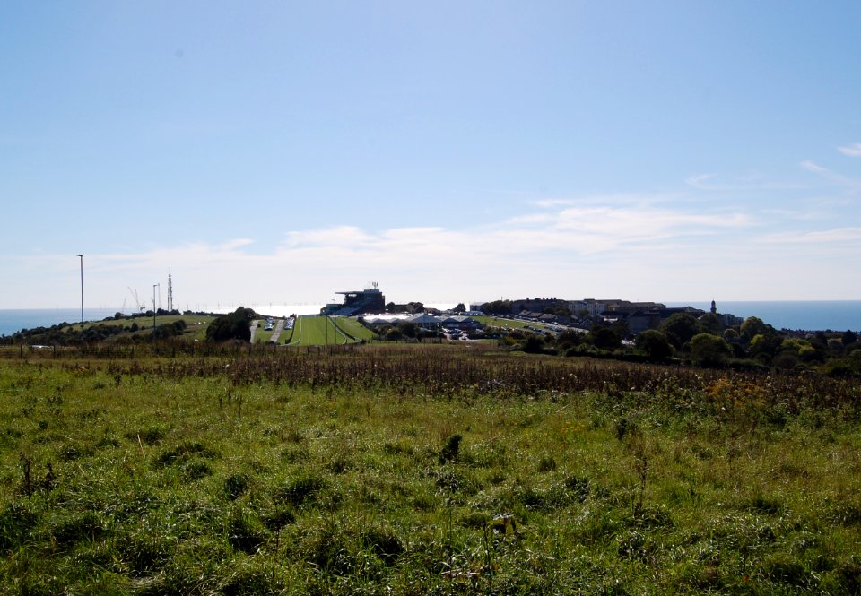 Brighton Racecourse, Whitehawk Hill, Brighton (September 2018) (5)