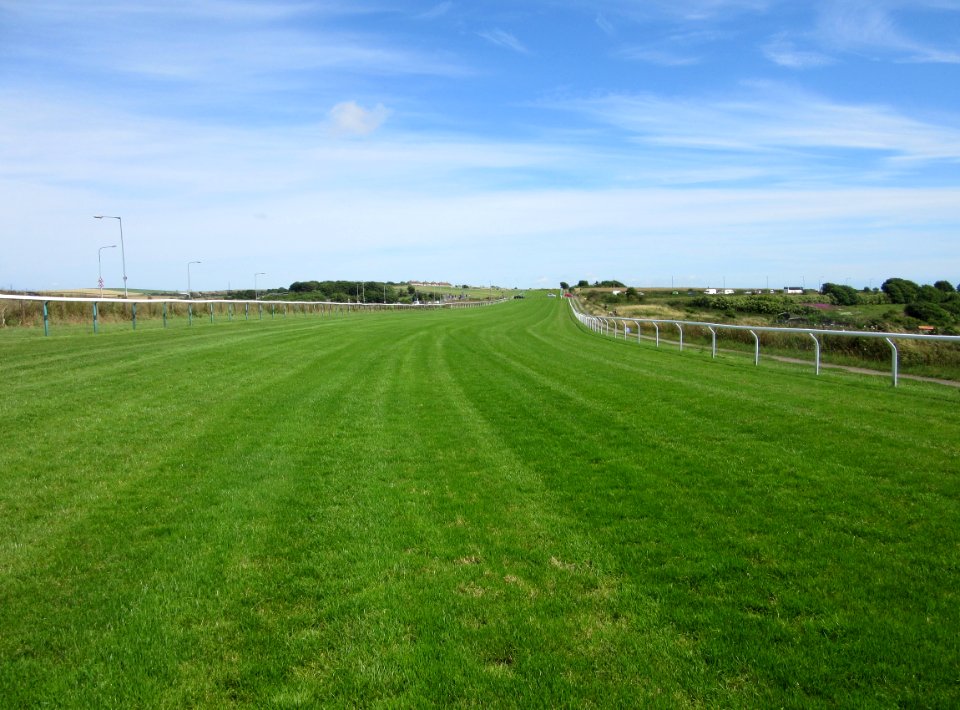 Brighton Racecourse, Whitehawk Hill, Brighton (July 2015) (1)