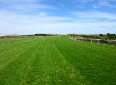 Brighton Racecourse, Whitehawk Hill, Brighton (July 2015) (1)