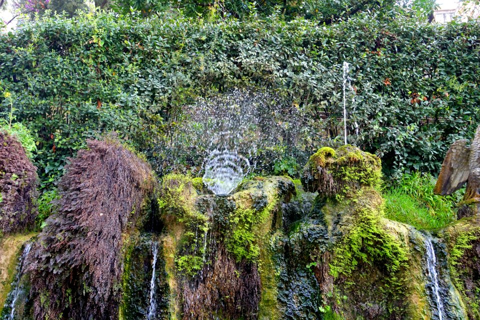Cento fontane, detail - Villa d'Este - Tivoli, Italy - DSC04037