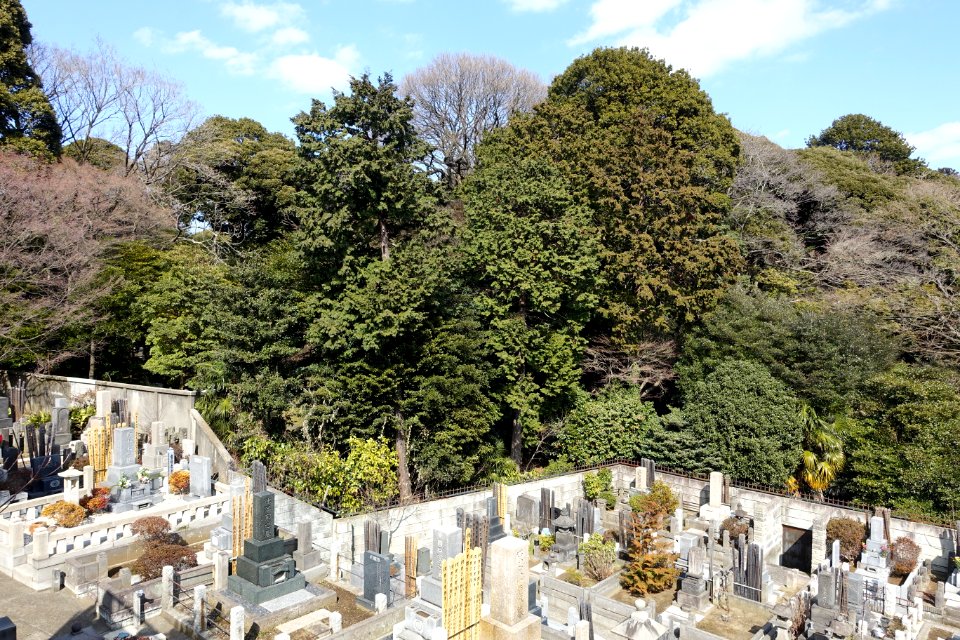Cemetery - Gokokuji - Bunkyo, Tokyo, Japan - DSC07819