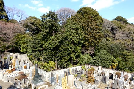 Cemetery - Gokokuji - Bunkyo, Tokyo, Japan - DSC07819