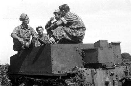 Bren-carrier met bemanning, Bestanddeelnr 6498