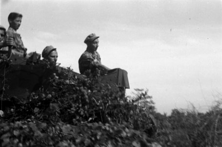 Bren-carrier met bemanning, Bestanddeelnr 6500