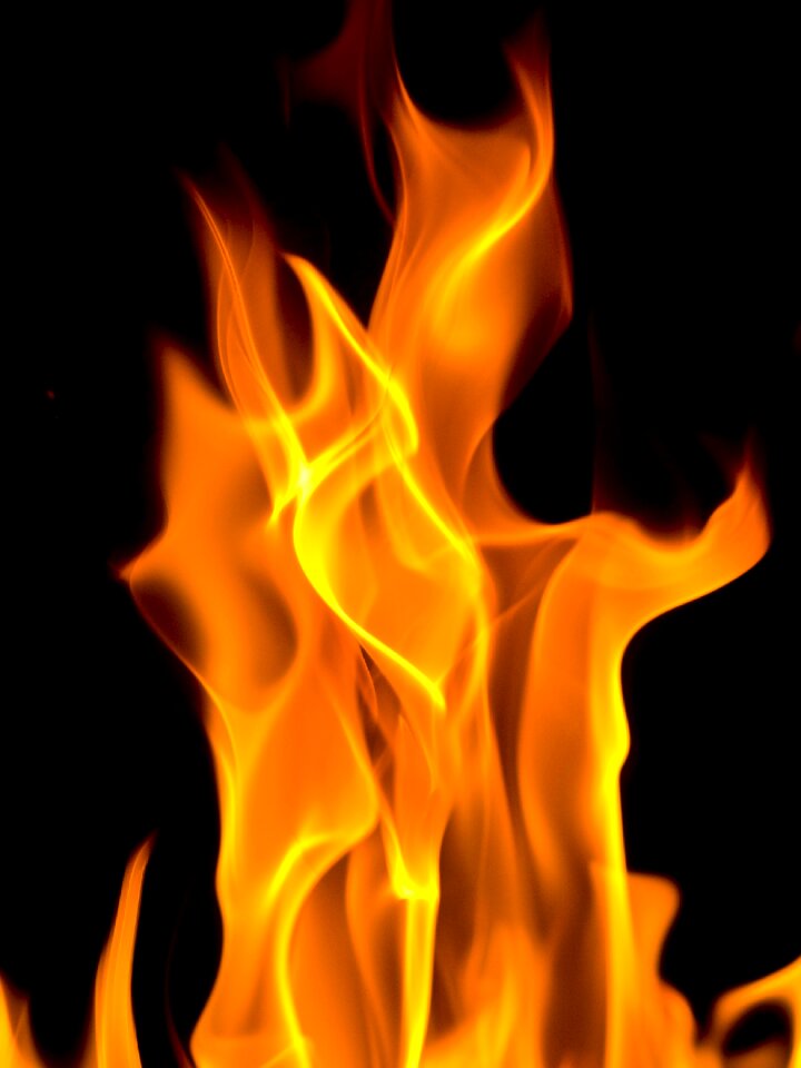 Burning study designs