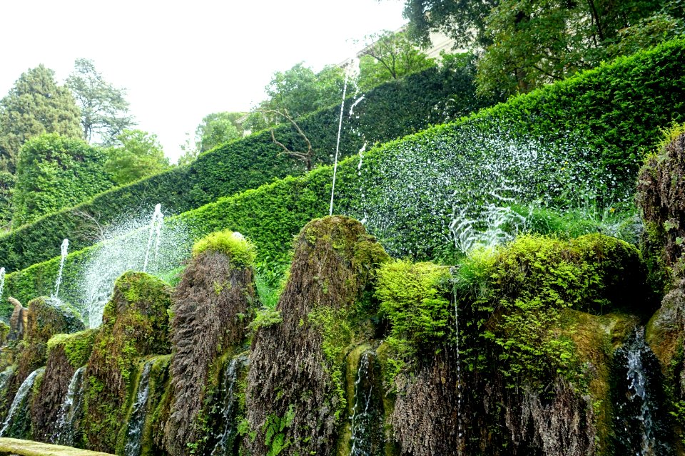 Cento fontane - Villa d'Este - Tivoli, Italy - DSC04041