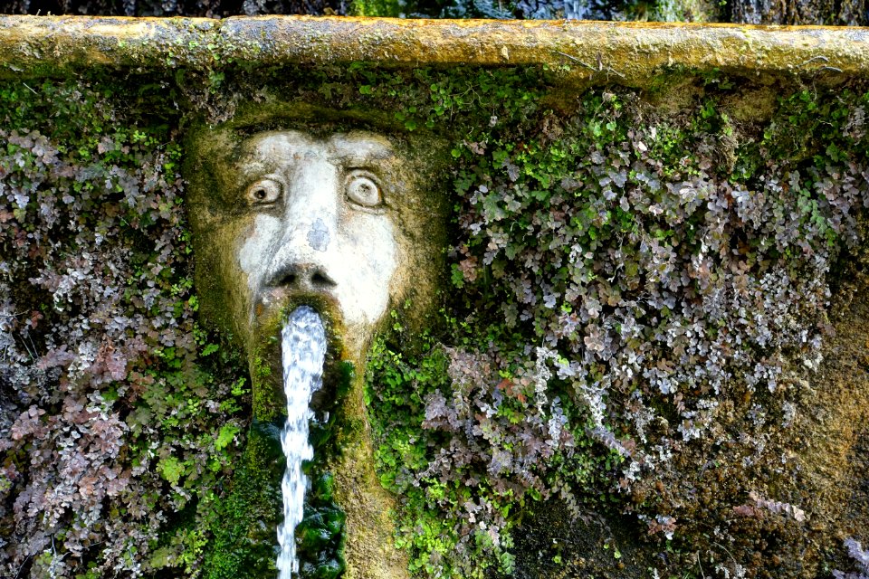 Cento fontane, face - Villa d'Este - Tivoli, Italy - DSC04039