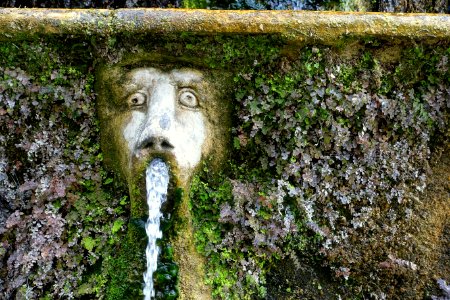 Cento fontane, face - Villa d'Este - Tivoli, Italy - DSC04039