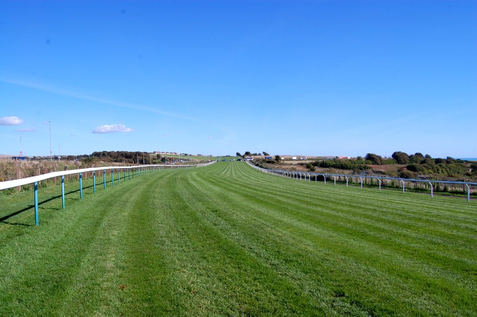 Brighton Racecourse, Whitehawk Hill, Brighton (September 2018) (1)