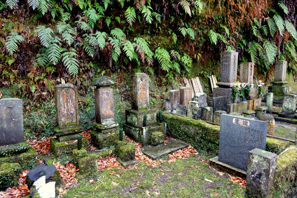 Cemetery - Jufukuji - Kamakura, Kanagawa, Japan - DSC07999